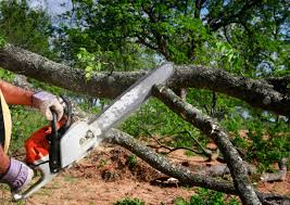 Mulching Services in Wauchula, FL